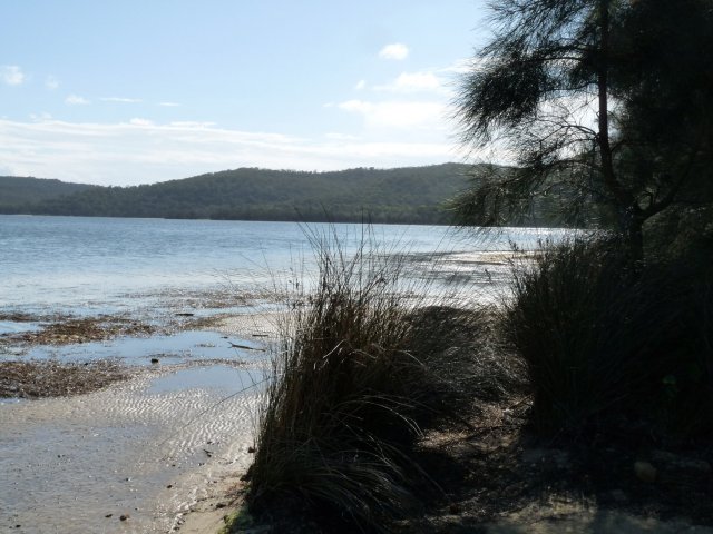 Narrabeen Lagoon